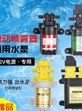 12V农用电动喷雾器水泵隔膜泵智能双核高压自吸泵大功率打药机泵