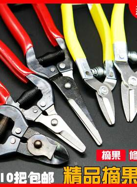 圆林剪刀 果树修枝剪修花剪刀采果园林柑橘剪桔子的小摘果剪葡萄