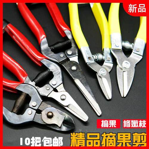 圆林剪刀 果树修枝剪修花剪刀采果园林柑橘剪桔子的小摘果剪葡萄