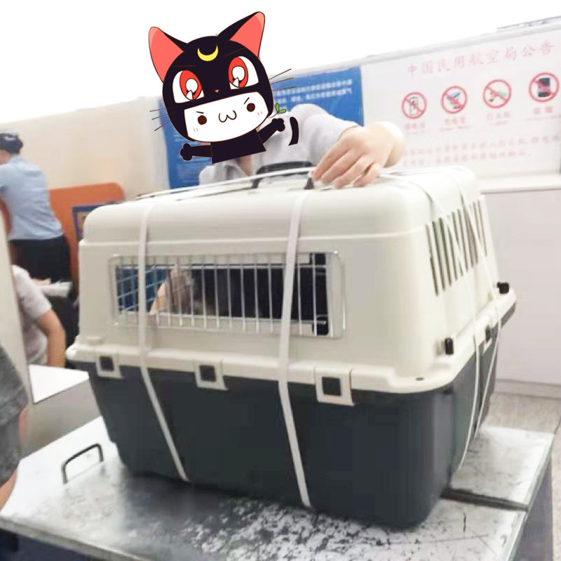 iata航空箱狗猫托运箱空运箱便携车载宠物箱宠物航空箱小中大托运