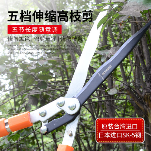 伸缩剪树枝家用花园n大剪刀园林园艺剪刀篱笆草坪修枝剪绿篱剪工