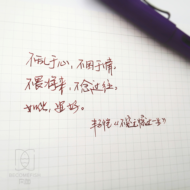 Noodler's inks/öóÓã ¸Ö±Êīˮ ²Êɫīˮ ·Ö×° Ó¢Â×õ¹å