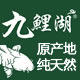 九鲤湖