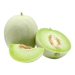 玉菇甜瓜苗羊角蜜绿宝石嫁接香瓜苗秧苗种籽孑早熟四季蔬菜苗种子