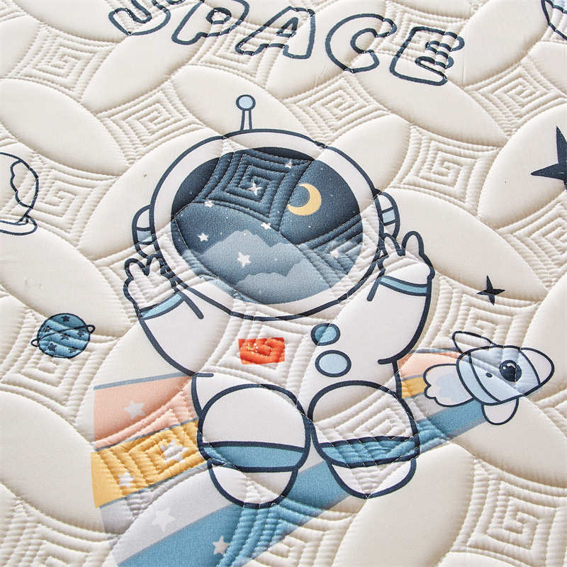 学生宿舍夹棉床垫单人床褥软垫卧室双人凉席双面可用卡通地铺睡垫