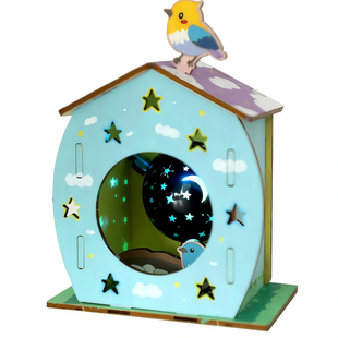 星空小鸟屋科学小实验儿童学生益智创意投影玩具物理科学实验材料