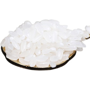 隆福源臻香米五常长粒香米食用2025年新米梗米东北大米5KGBT19266