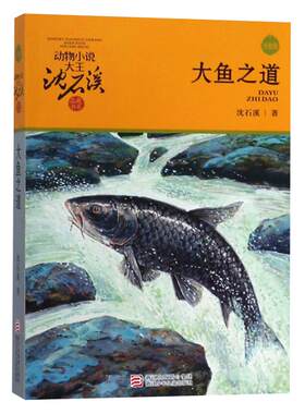 大鱼之道沈石溪书