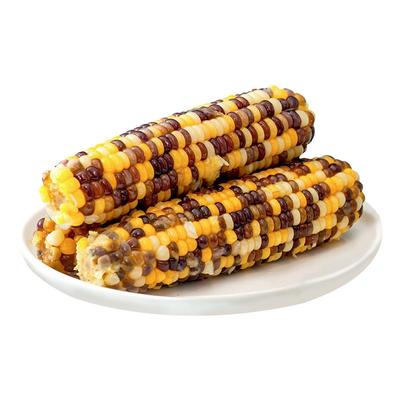 5根新鲜香甜花糯玉米天勤粒粒净