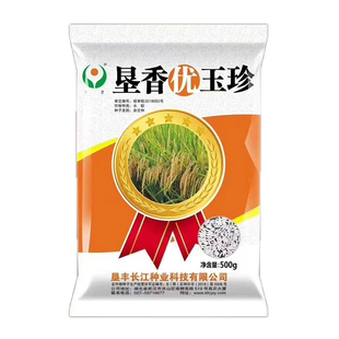 浓香型长粒杂交晚稻水稻垦香优玉珍浓香型口感软糯米质好500g