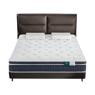 雅兰 加硬舒脊椰棕床垫进口乳胶独袋弹簧天丝面布七区护脊 蘭骑士