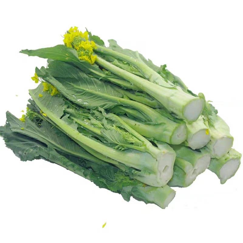 迟菜心新鲜菜苔现摘顺丰包邮