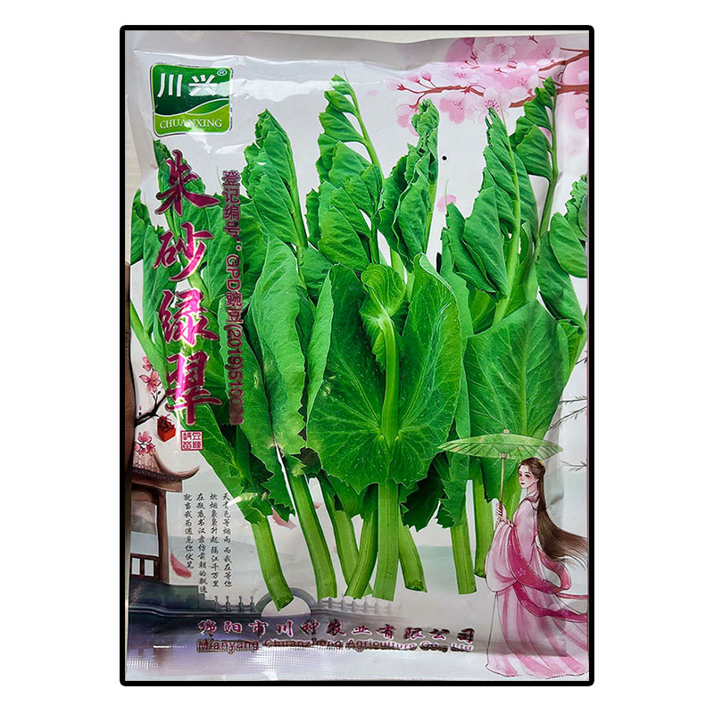 四川朱砂红绿翠豌豆尖苗龙菜种子