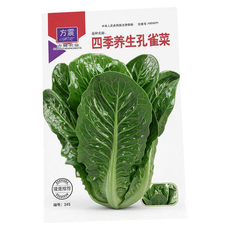 方震孔雀菜种子纤维少甜脆爽绿