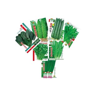 【爆箭王】蝴蝶兰营养液促花剑开花防黄叶兰花专用肥多植物适用有