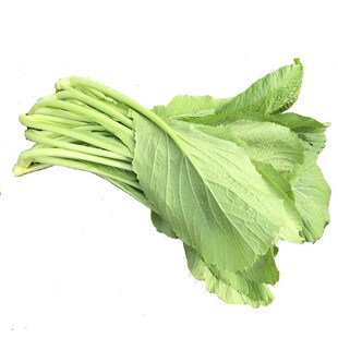 春菜种子青菜籽种蔬菜种籽仔小白四季秋冬季春季播种现在种秋冬季