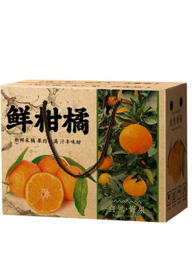 柑橘包装盒橘子礼盒5-10斤装通用蜜橘箱子纸箱桔子手提盒纸箱定制