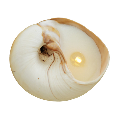 fourmeals海的礼物海螺香薰