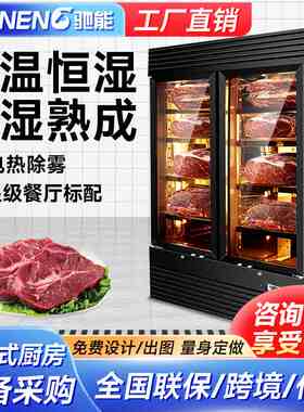 驰能商用牛排熟成柜风干式牛肉排酸展示柜西餐厅风冷保鲜冷藏冰箱