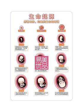 生命起源月子中心讲解教具