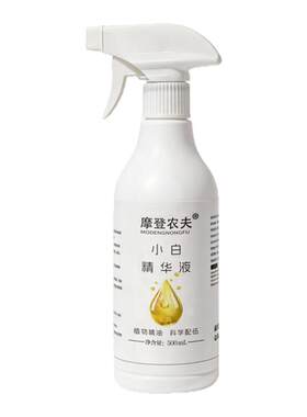 小白月季玫瑰香精小黑飞驱虫