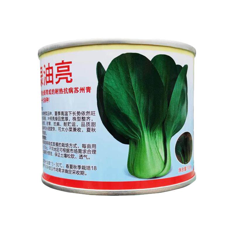青油菜种籽孑蔬菜种子青硕蔬菜籽