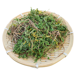 深山一朵云小春花 干品野外生长独脚金鸡阴地蕨蛇不见 无硫中药材