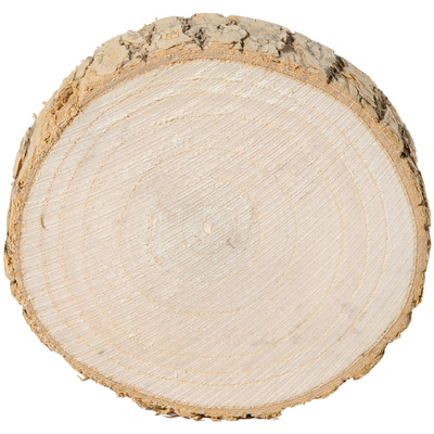 芦丁鸡喂食台喂食器饮水器木墩