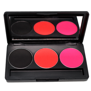 戏剧化妆品眼影胭脂腮红哑光