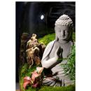 大口径生态瓶青苔藓微景观玻璃缸盆景摆件造景盆栽创意绿植物 包邮