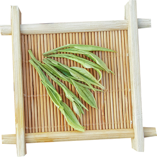 2025年新茶叶安吉安且茗白茶现货正宗雨前一级绿茶春茶250g散装