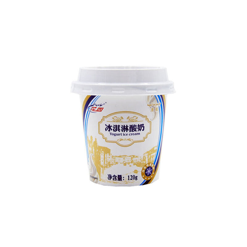 新疆120g浓缩低温早餐冰淇淋酸奶