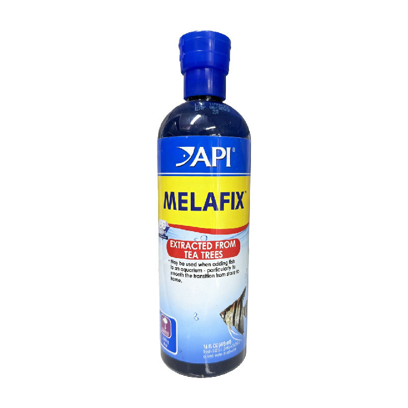 API鱼博士杀菌水抗霉菌龙鱼通用