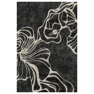 2025新款入户门地垫玄关门垫轻奢高级感黑白花卉地毯家用脚垫