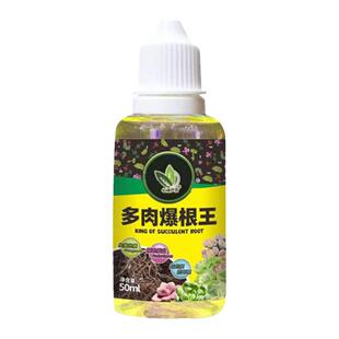 多肉爆根王快速生根液壮苗剂多肉植物专用养花水肥营养液