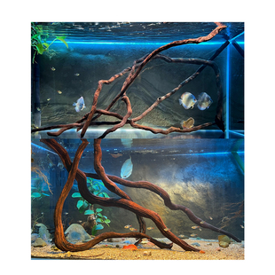 二马 南美缸造景紫柚木枝条七彩埃及 鱼缸装饰躲避 沉木条 树森林