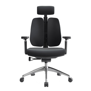 人体工学椅电脑椅家用办公椅老板椅电竞椅双背椅久坐舒适书房转椅