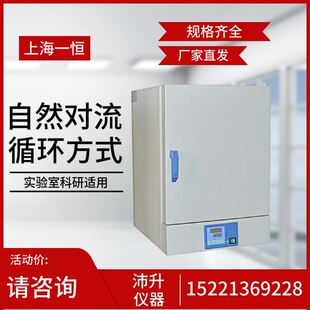9091A自然对流实验室 9051A 上海一恒电热恒温干燥箱DHG 9031A