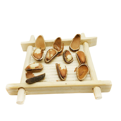 松树屯东北红松子开口新货500g