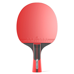 乒乓球拍一二三星单拍正品娱乐训练专业级直横拍学生兵乓球拍单支