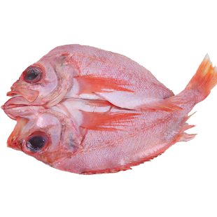 红石斑鱼鲜活冷冻开背处理深海新鲜石斑鱼野生特大多少钱一斤海鲜