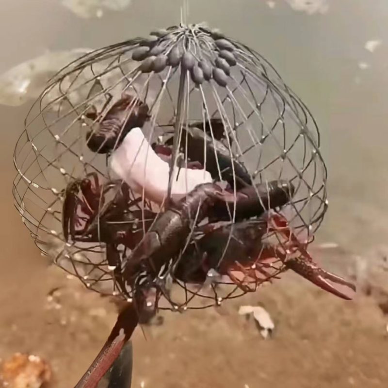 新款钓螃蟹笼子小龙虾笼海蟹圈河蟹套全自动开合笼捕蟹捕鱼笼海用