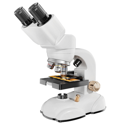 小学生生日礼物送男孩女孩