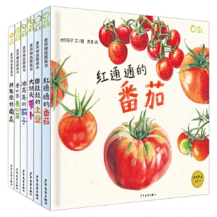 我爱蔬菜系列（6本套）日岩佐祐子著彩图绘图精选小麦田图画书厚装绘画睡前阅读亲子共读少年儿童出版社