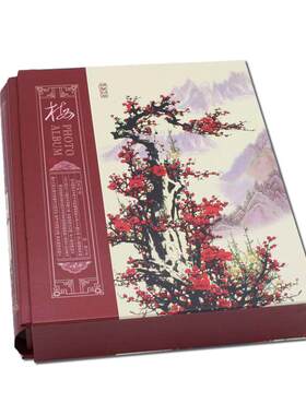 特价家庭6寸8寸 190张盒装插页式相册 复古山水中国风 可放记事条