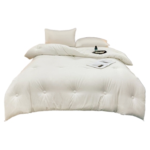 被子冬被加厚保暖12斤被芯磨毛棉被单人学生宿舍春秋空调被褥冬天