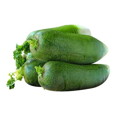 2025水果萝卜甜脆型潍坊萝卜新鲜正宗潍县青萝天津沙窝绿萝卜生吃