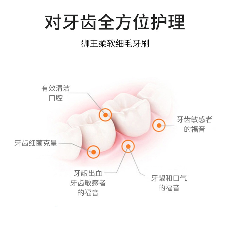 日本狮王细齿洁靓成人护齿软毛护理超龈装牙刷3软牙刷细毛支手动