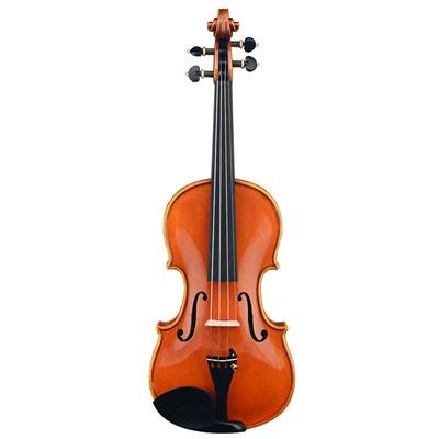 专业级小提琴克莉丝蒂娜