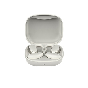 2025新款ai智能翻译机语音蓝牙翻译耳机同声实时翻译俄泰国老挝日韩语出国旅游翻译器